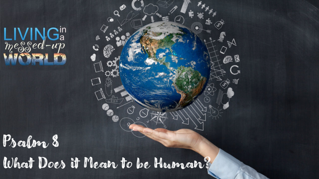 What Does it Mean to be Human?