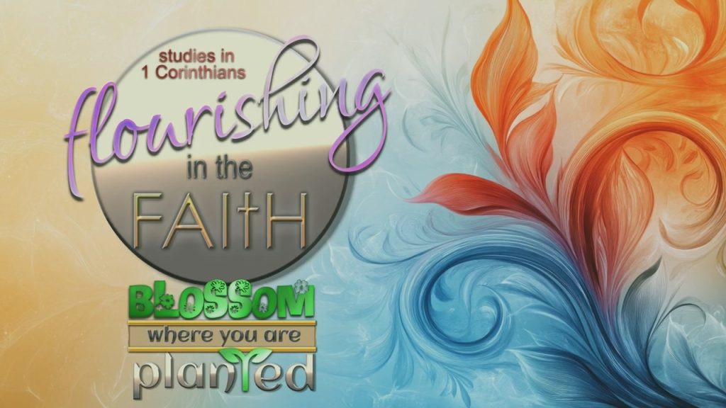 Blossom where you are Planted